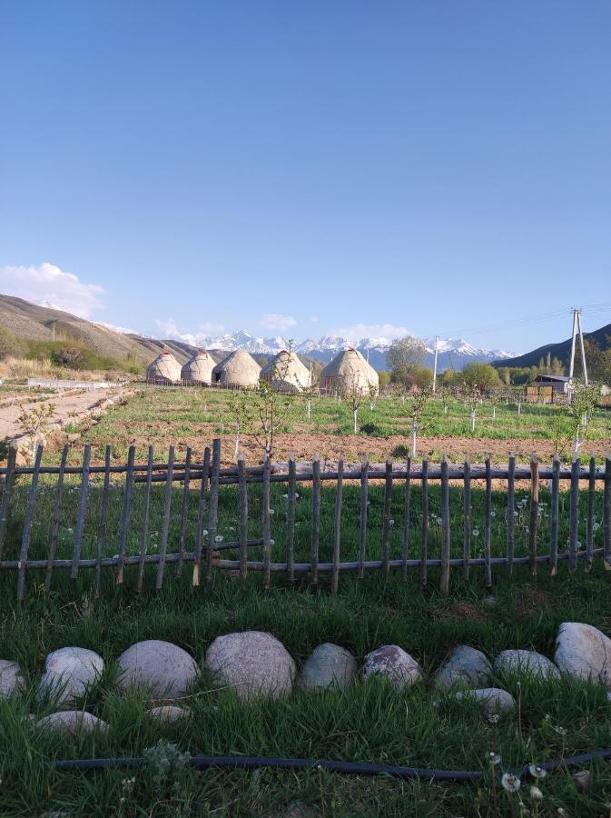 Eco Village Lodge Dzhetyoguz 外观 照片