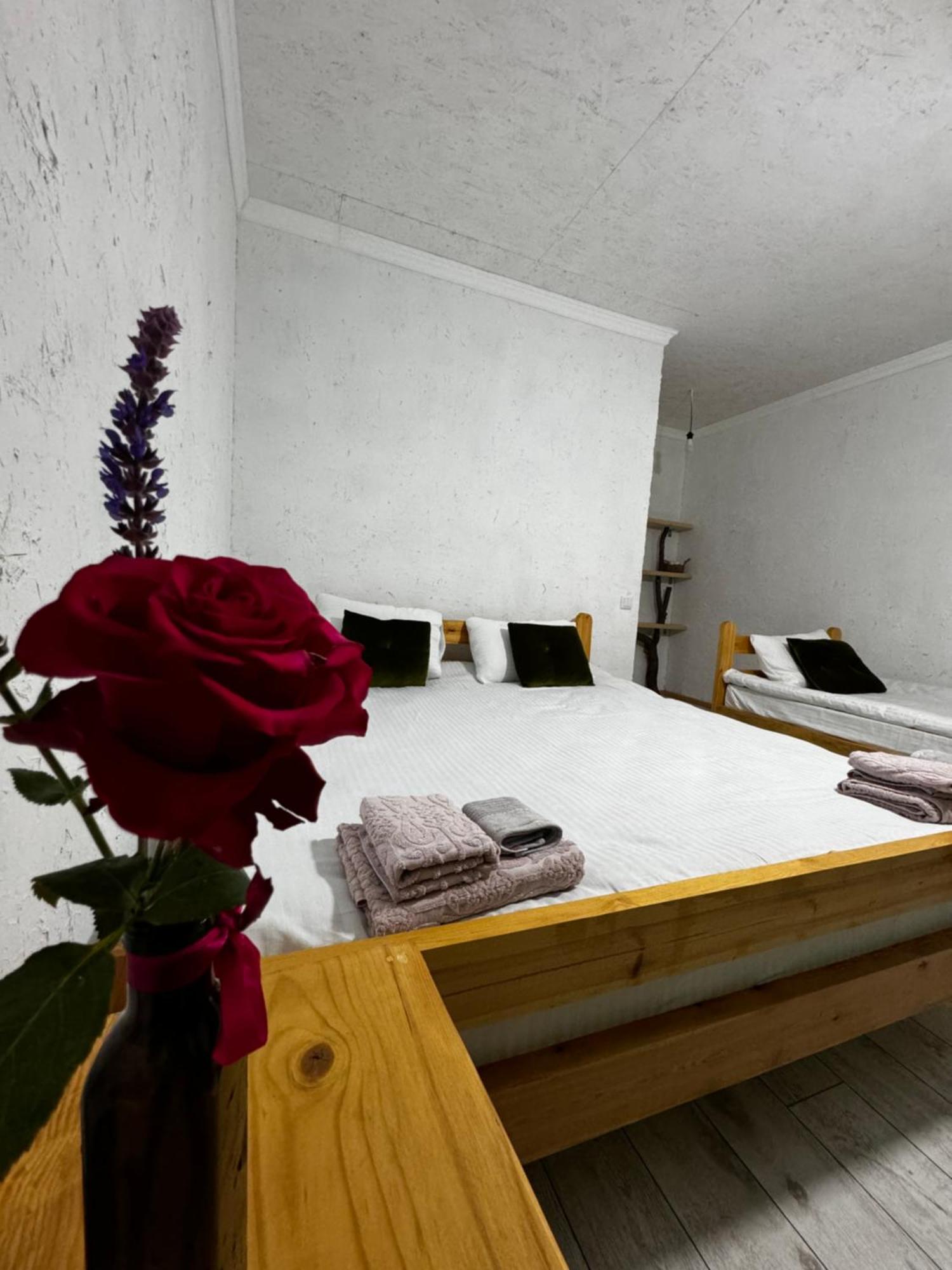Eco Village Lodge Dzhetyoguz 外观 照片